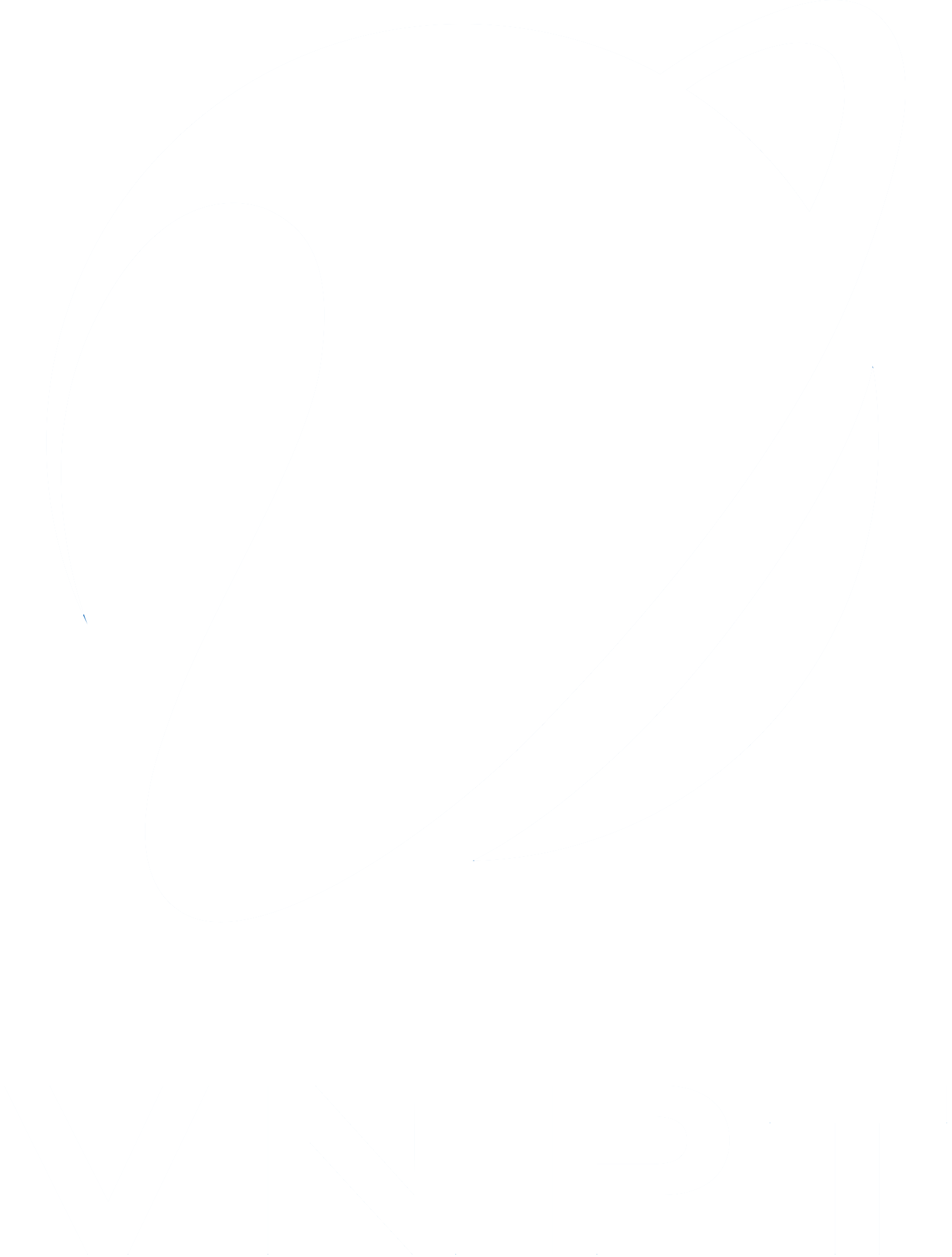 VNPT